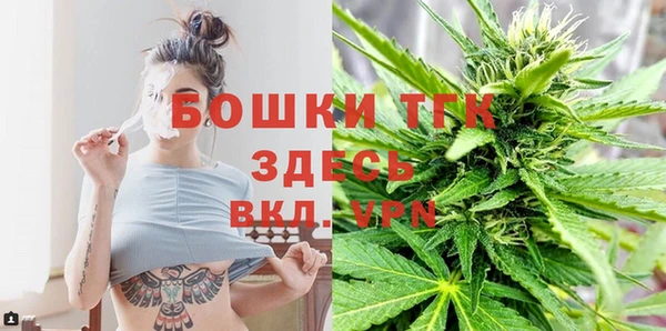 Альфа ПВП Медногорск